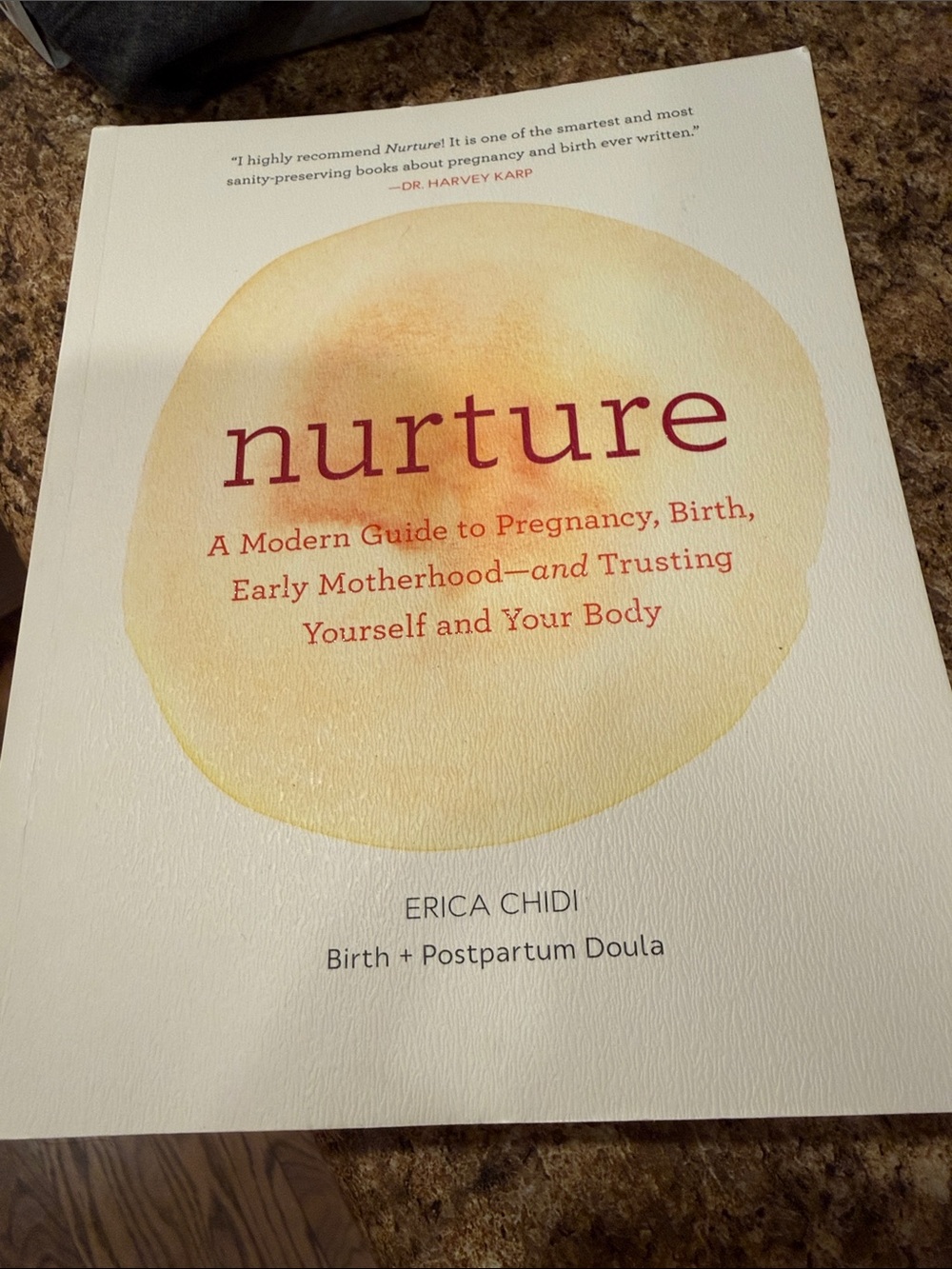 NWT Nurture - A Modern Guide to Pregnancy, Birth & Early Motherhood Book